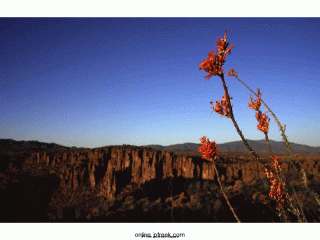 on-the-ridge-of-devils-canyon