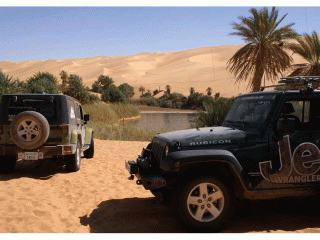 a-desert-oasis-and-the-jeeps