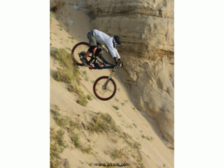 vertical