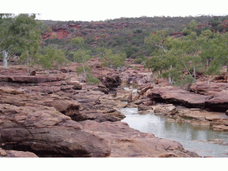 raid-world-cup-in-w-australia
