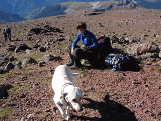 jackie-and-scout-taking-a-break
