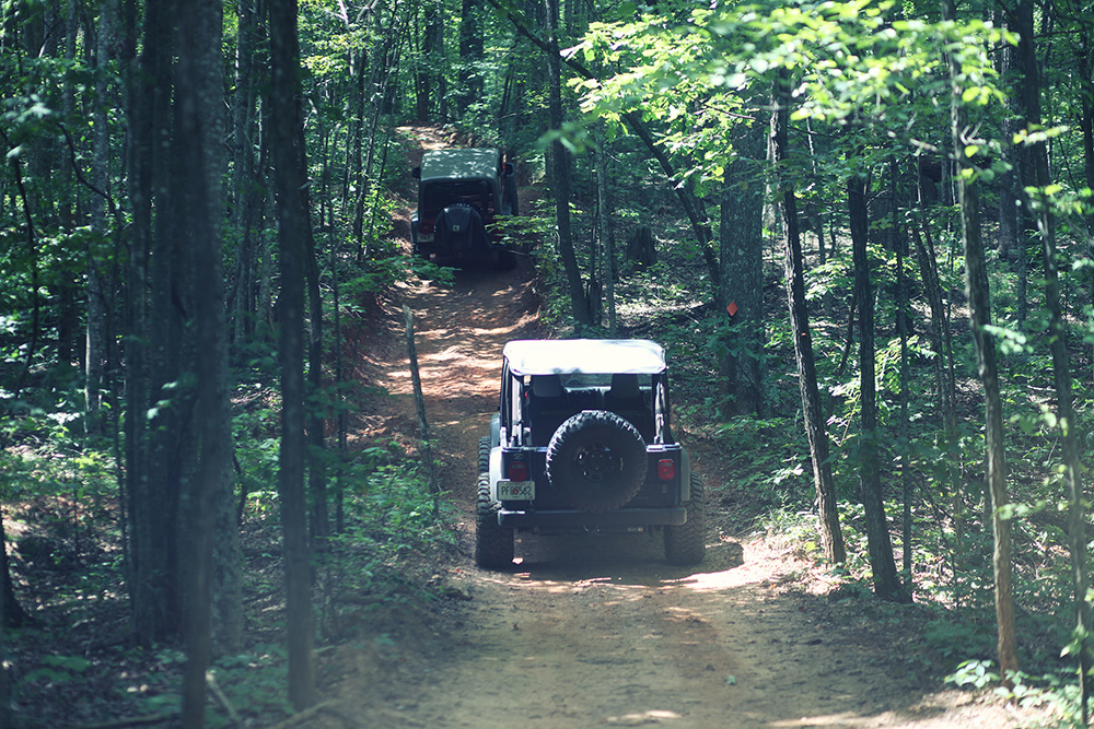 Jeeps on Off-Road Trail